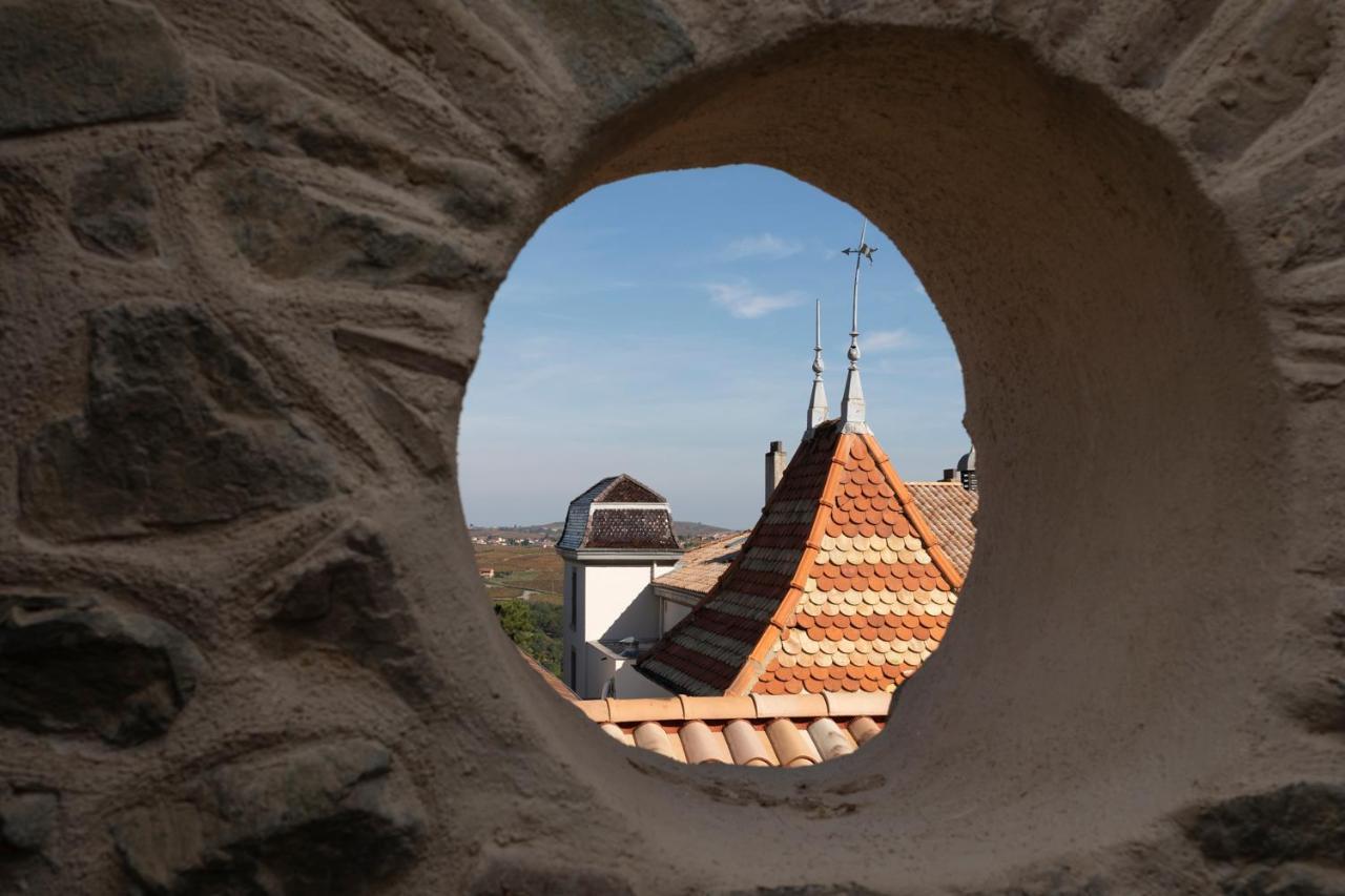 Chateau Du Souzy Quincié-en-Beaujolais Zewnętrze zdjęcie